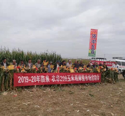 玉米观摩会